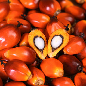 Palm oil, certified organic, RSPO certified